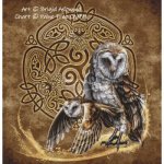 (image for) Celtic Owl